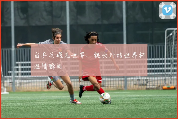 当乒乓遇见世界：镜头外的世界杯温情瞬间
