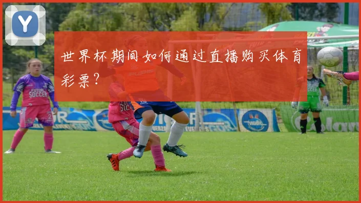 世界杯期间如何通过直播购买体育彩票?