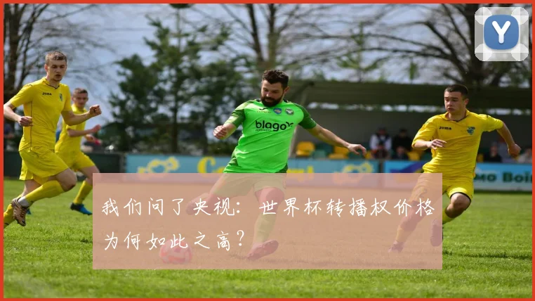 我们问了央视:世界杯转播权价格为何如此之高?