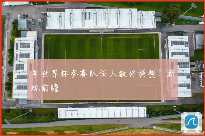 年世界杯参赛队伍人数将调整?新规前瞻