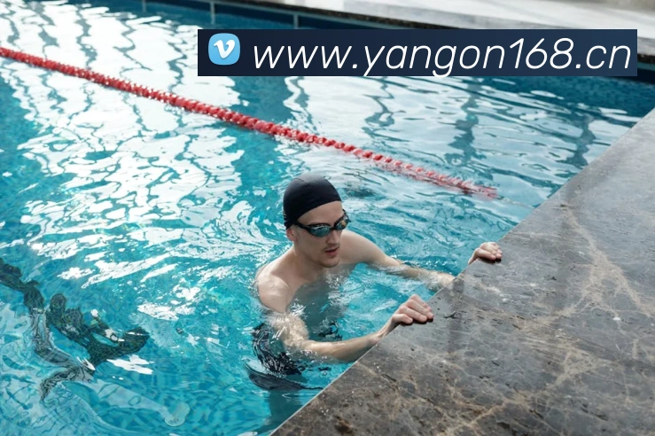 多媒体互动体验